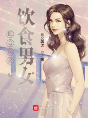四合院之饮食男女小说免费